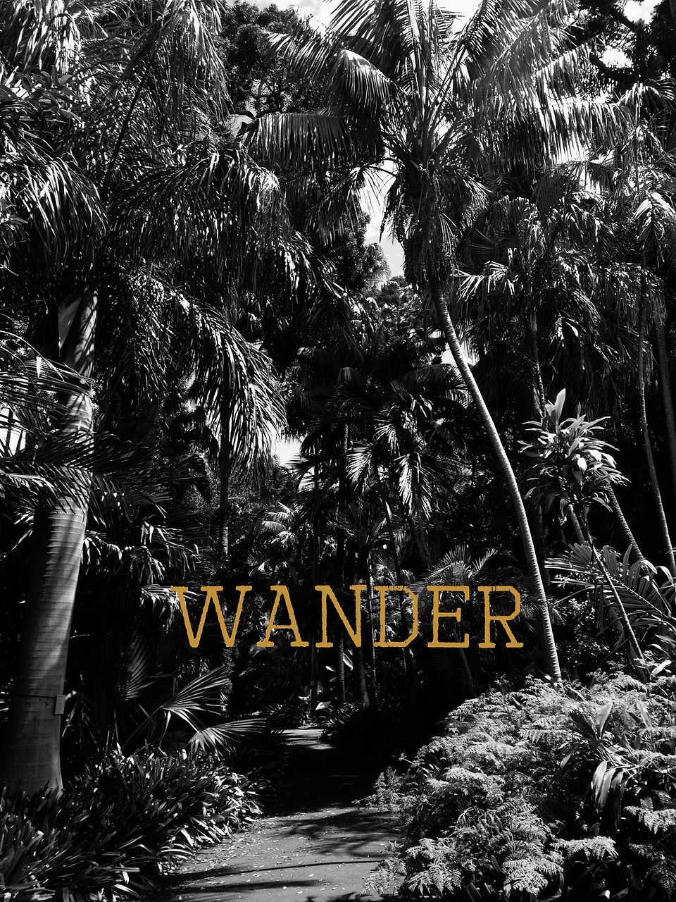 artist cover