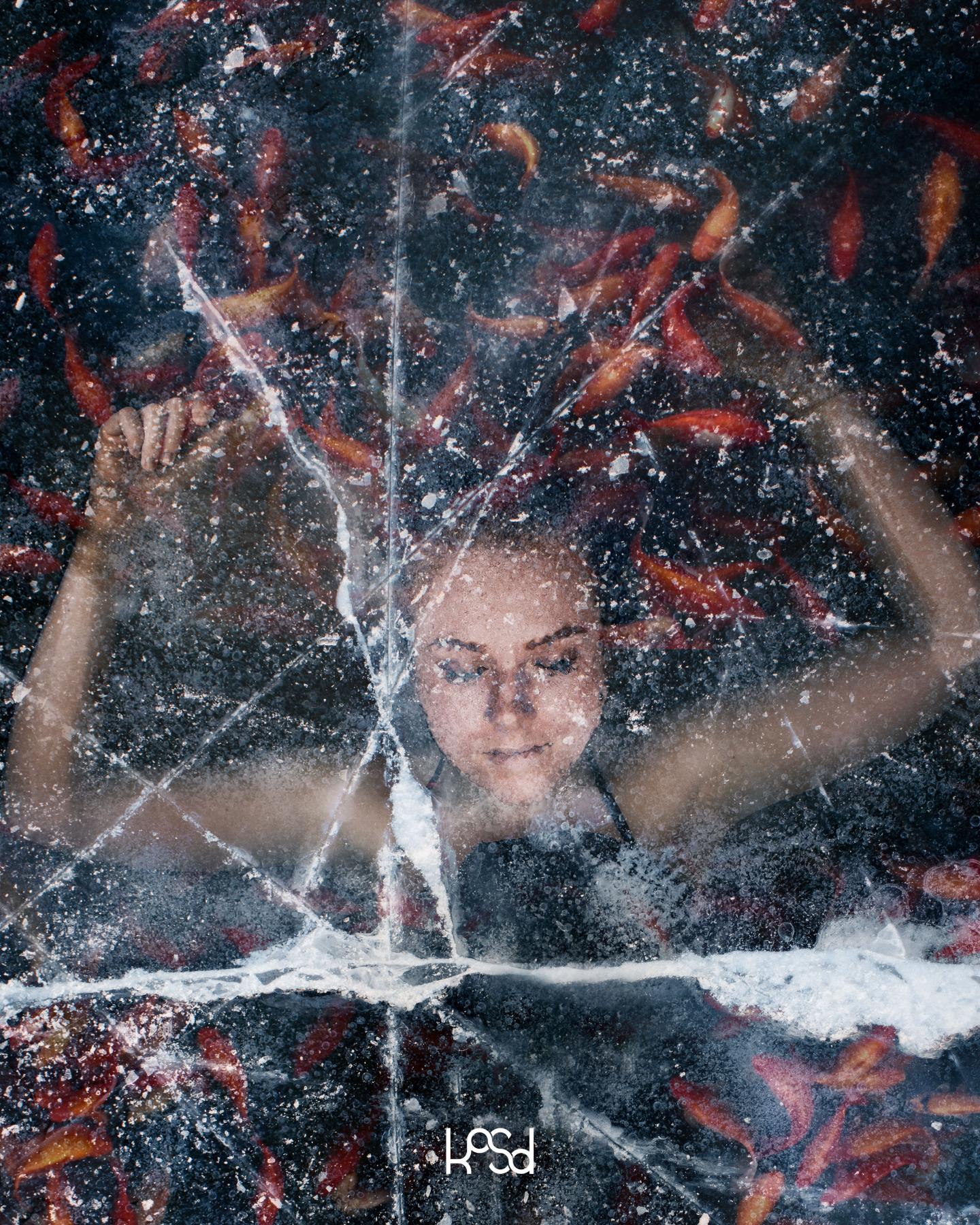 artist cover