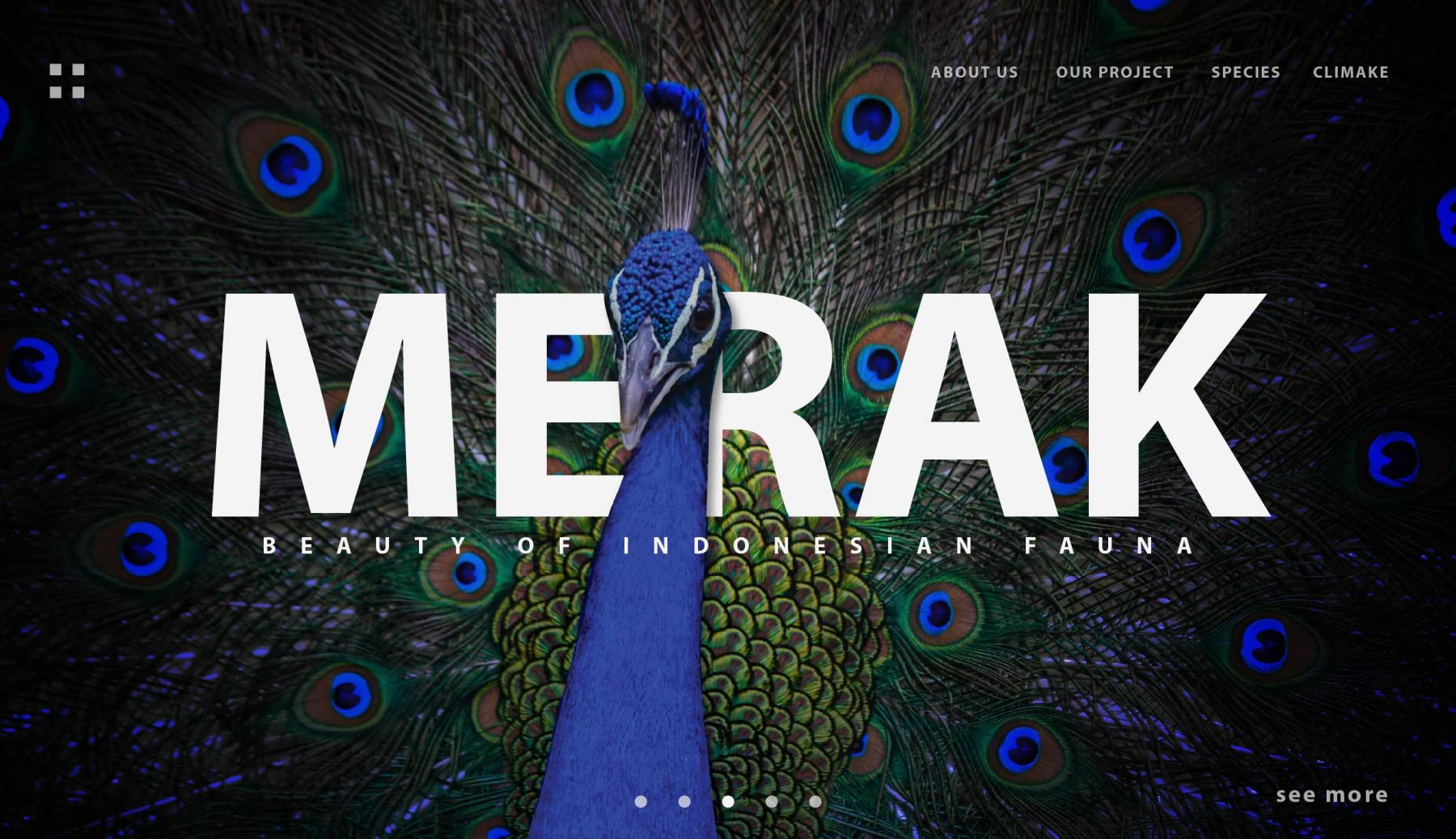 artist cover