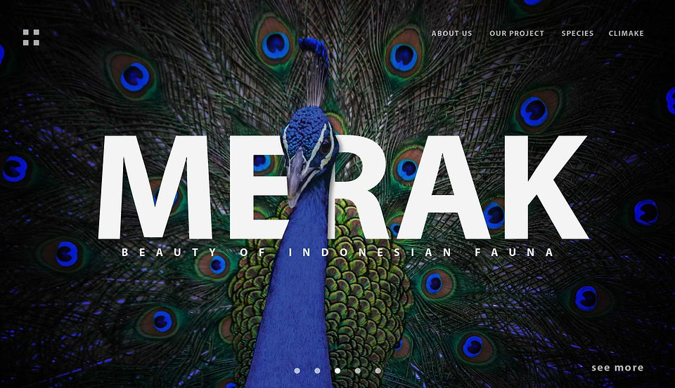 artist cover