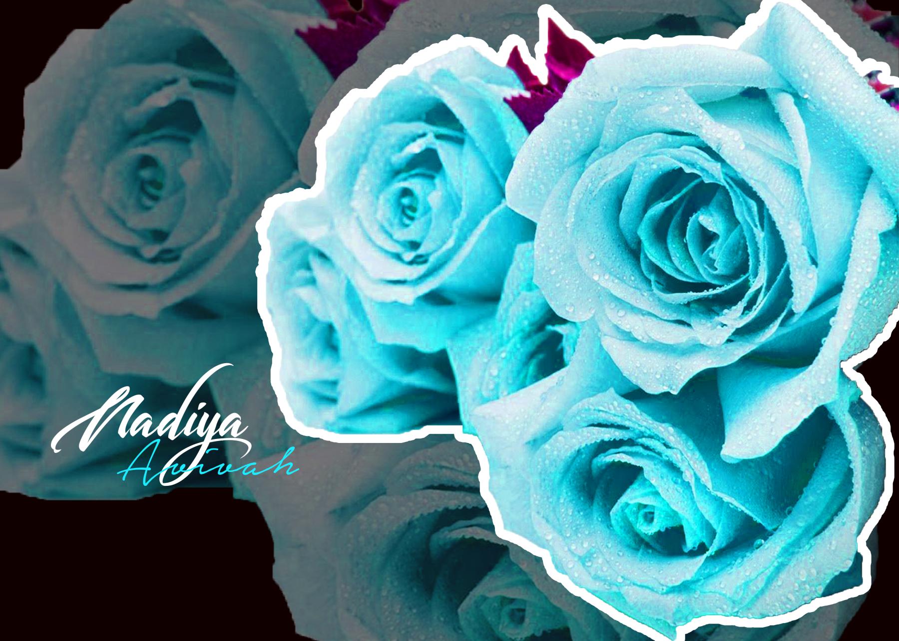 artist cover