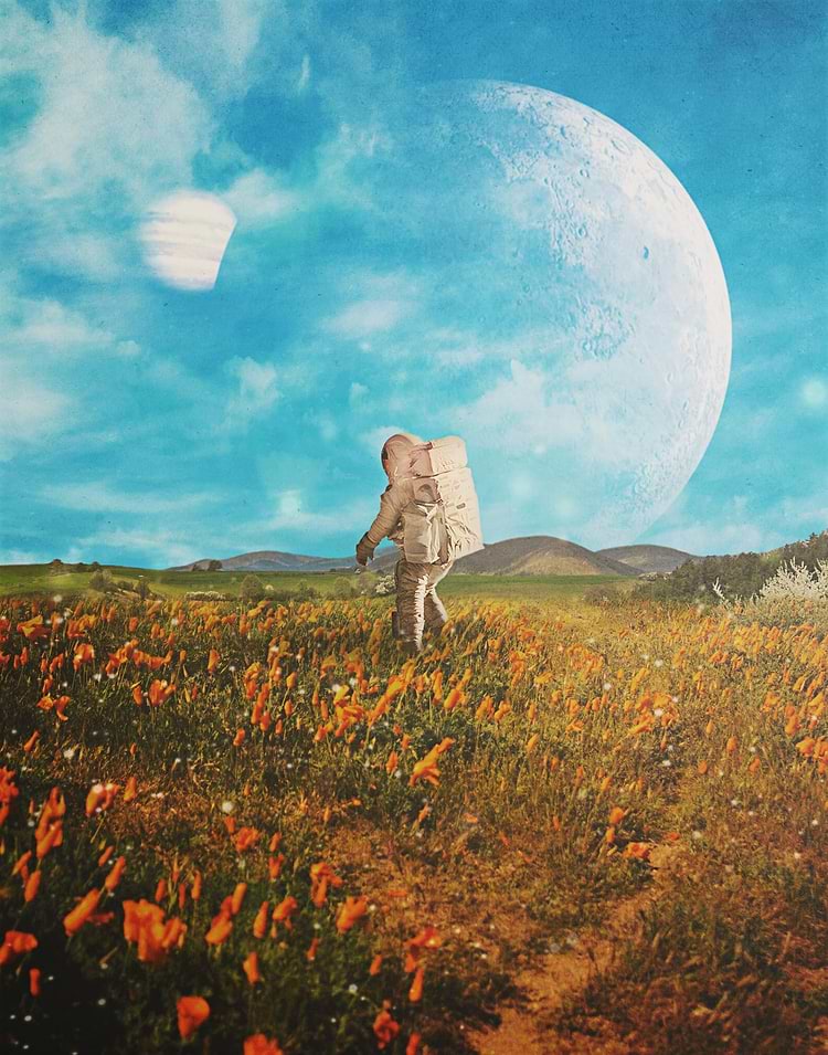 artist cover