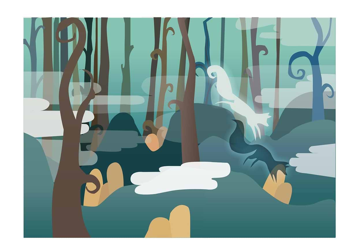 artist cover
