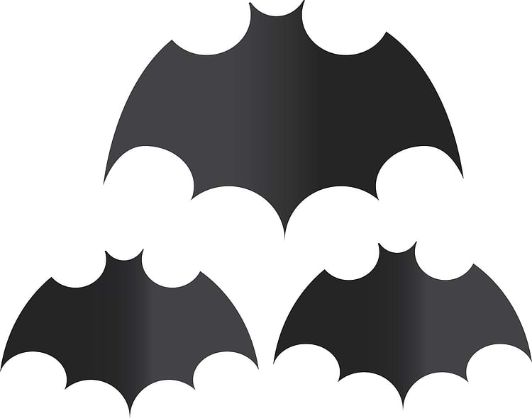 artist cover