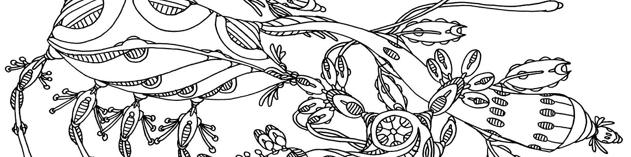 artist cover