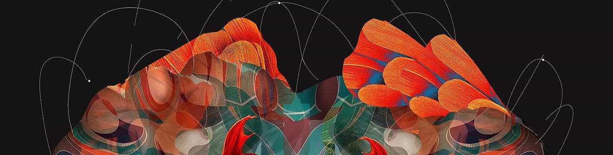 artist cover