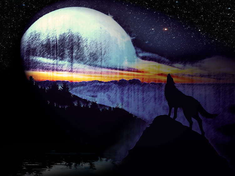 artist cover