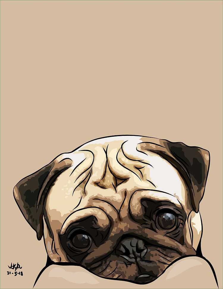 artist cover