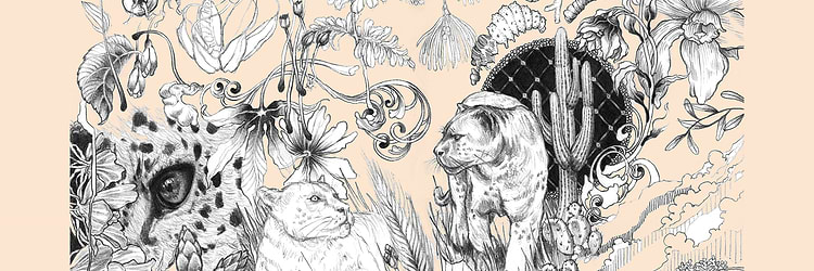 artist cover