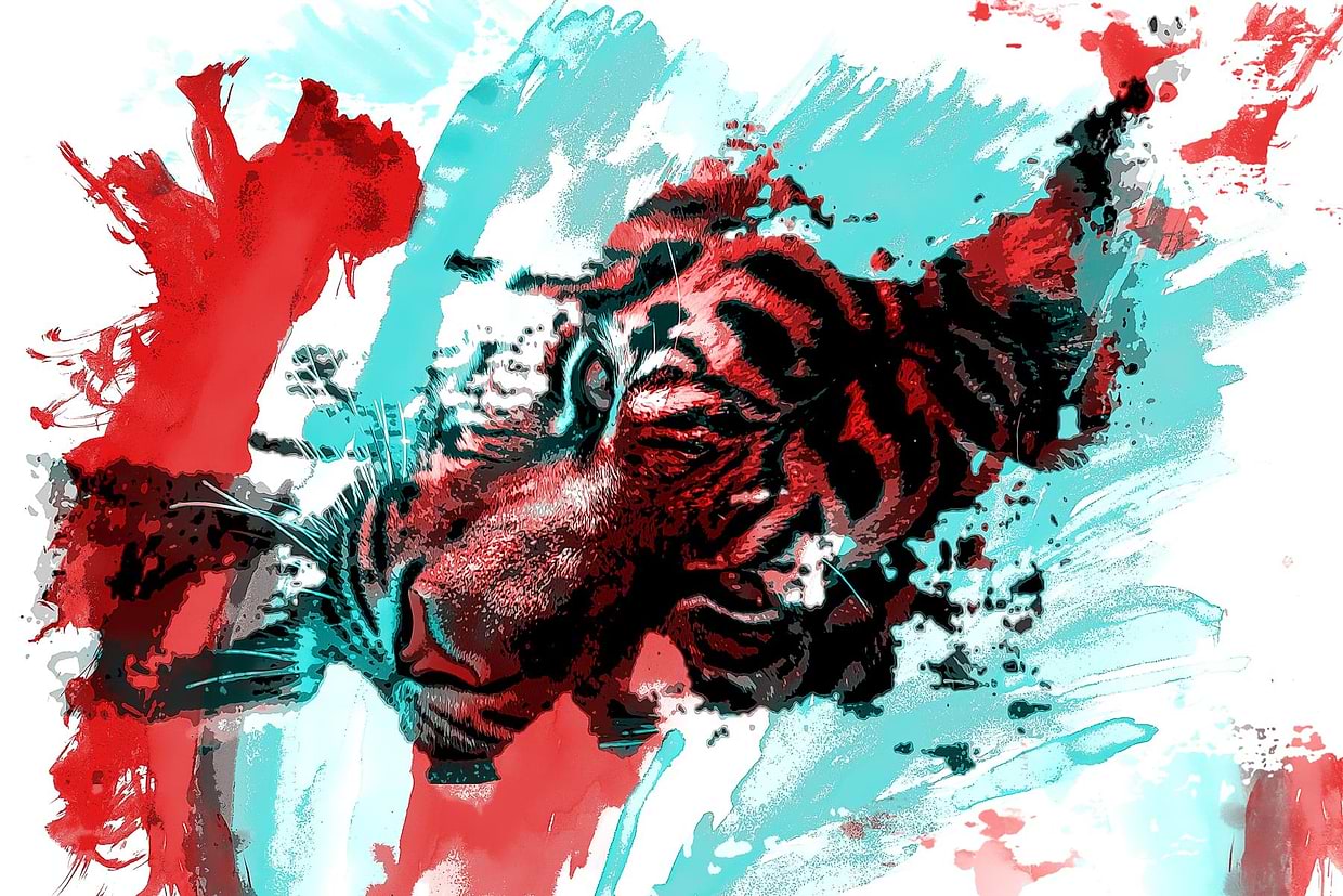 artist cover