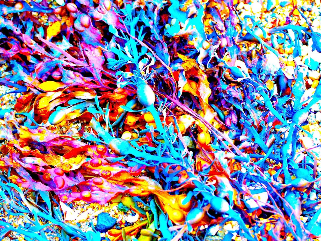 artist cover