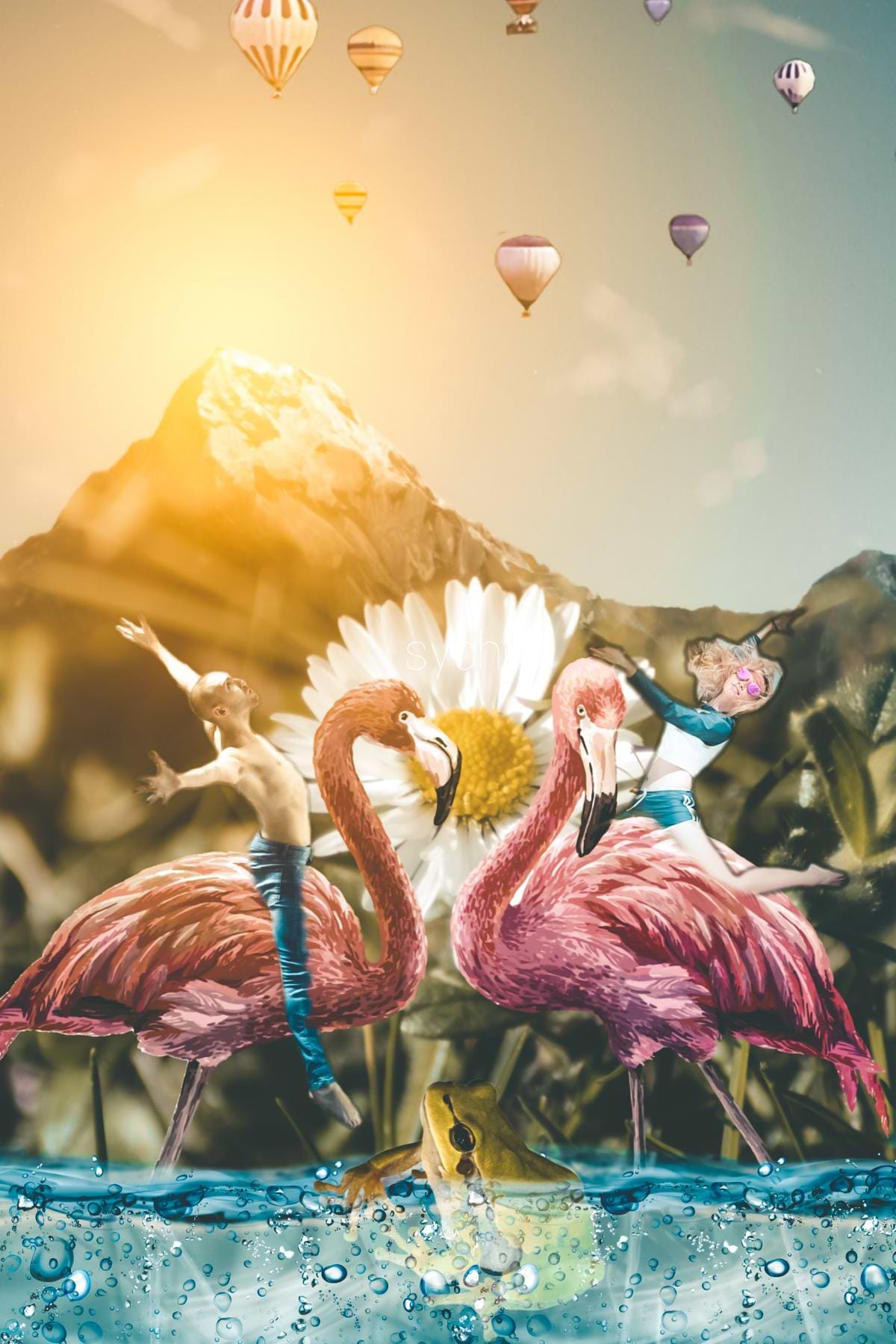 artist cover
