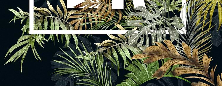 artist cover