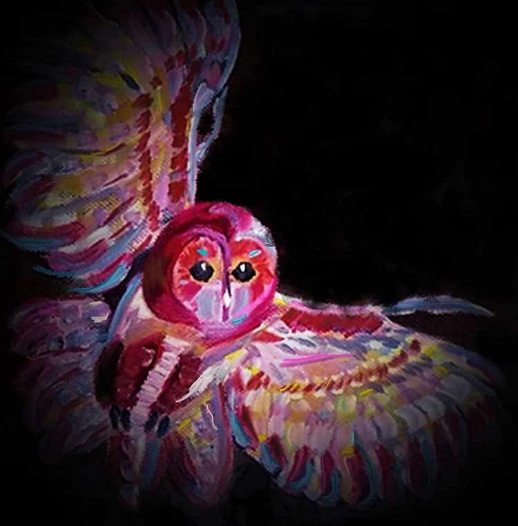 artist cover