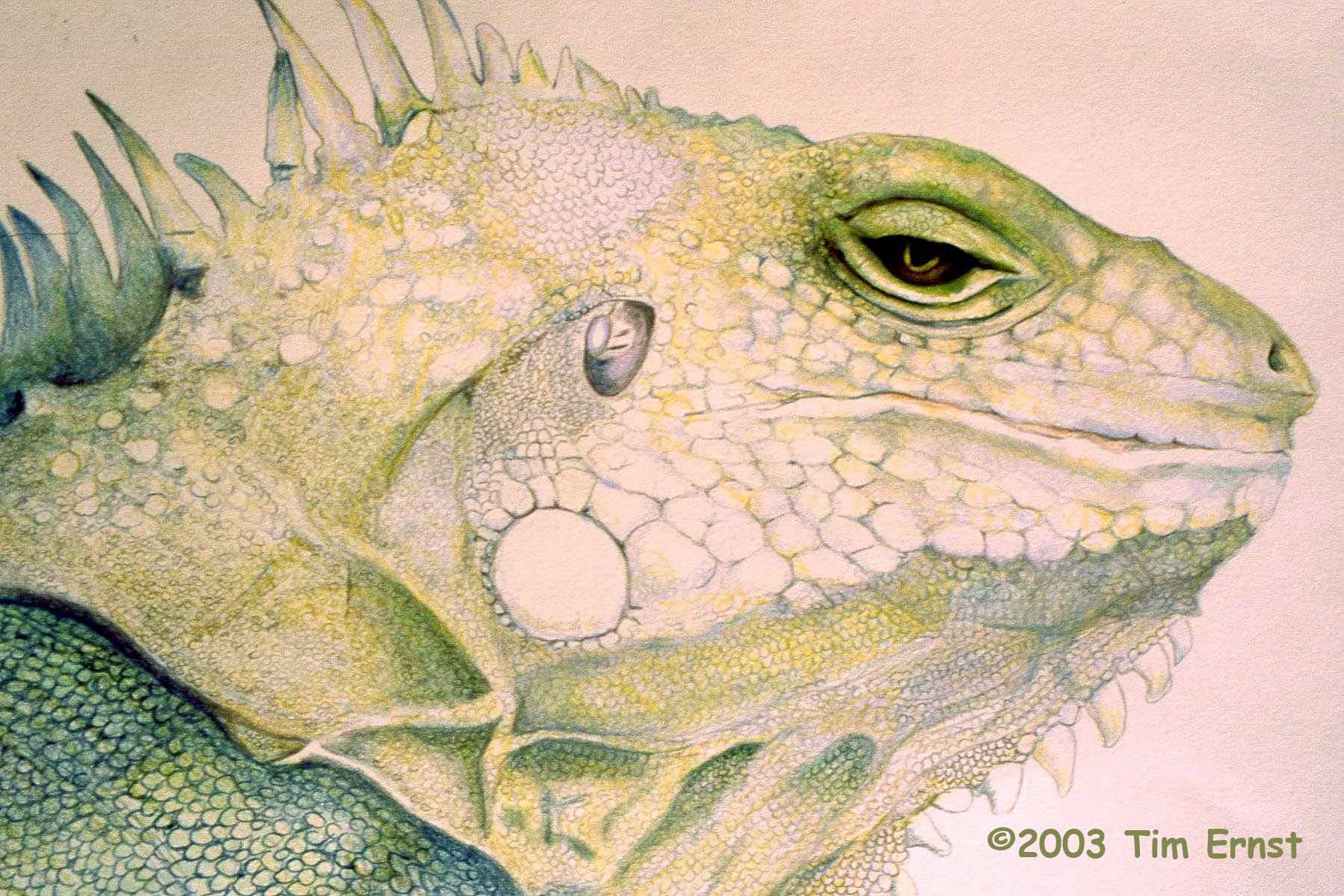 artist cover