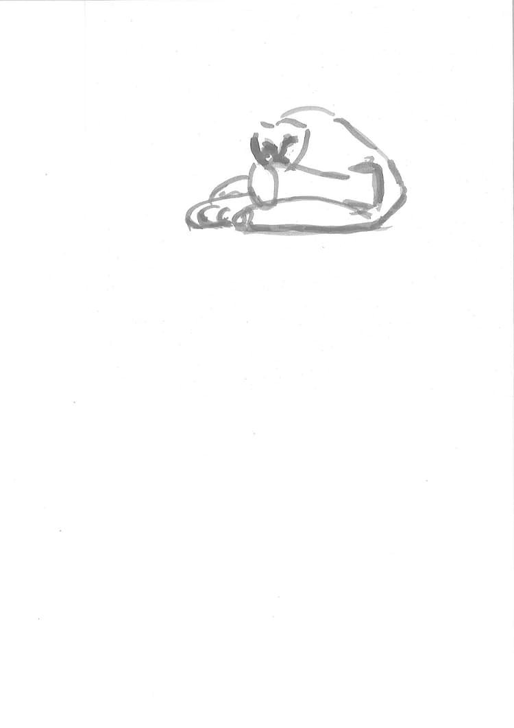 artist cover