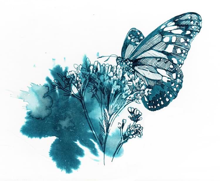 artist cover