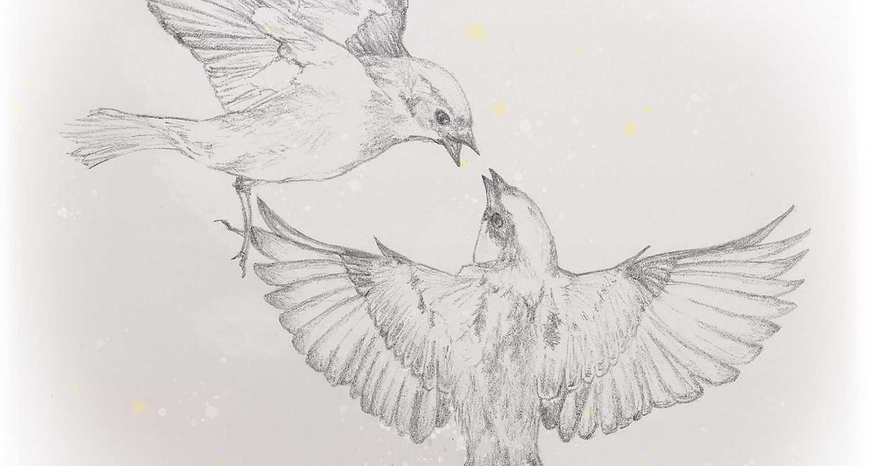 artist cover