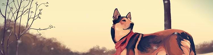 artist cover