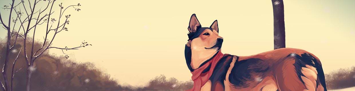 artist cover