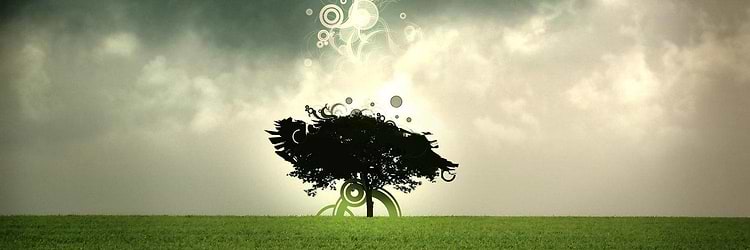 artist cover