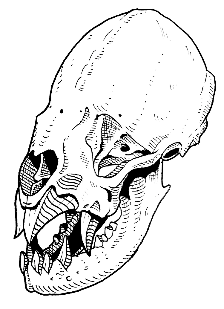 artist cover