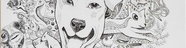artist cover