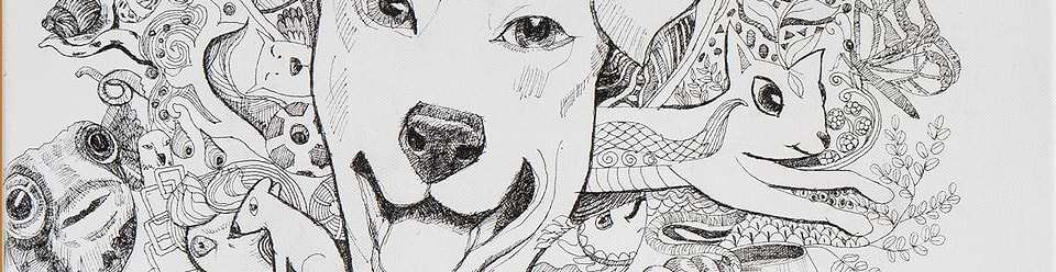 artist cover