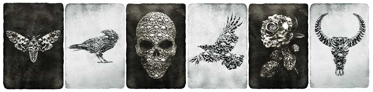artist cover