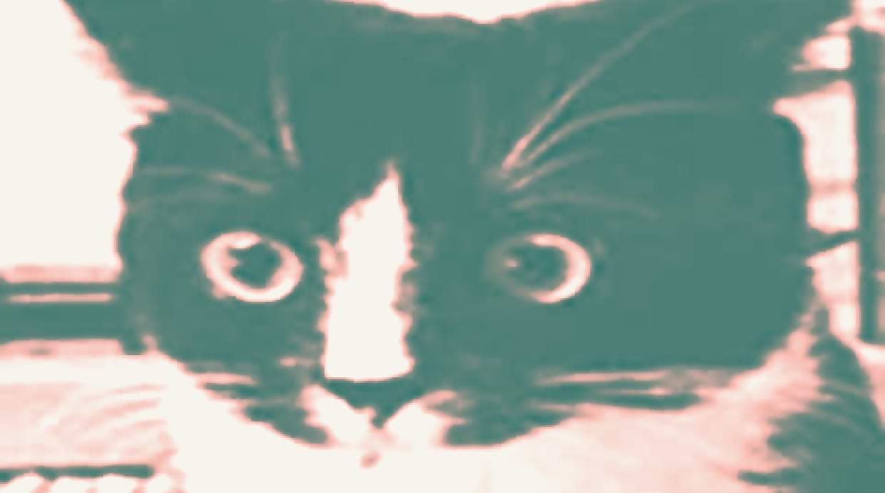 artist cover