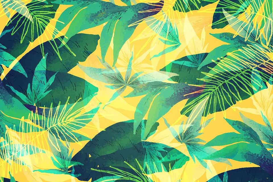 artist cover