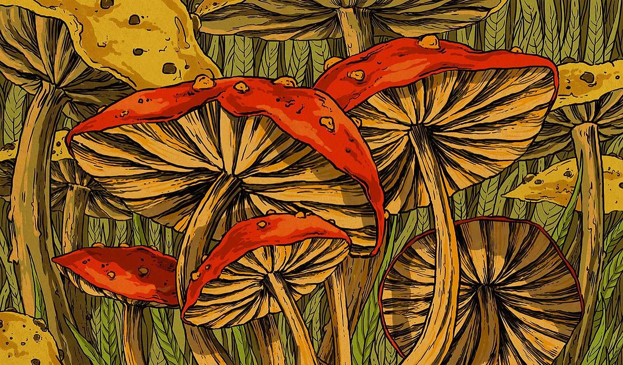 artist cover