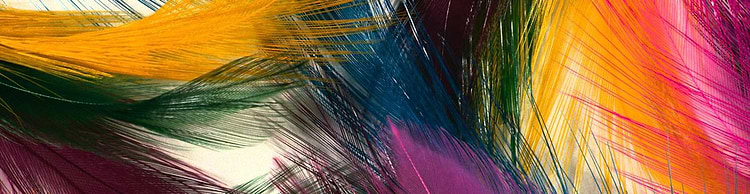 artist cover