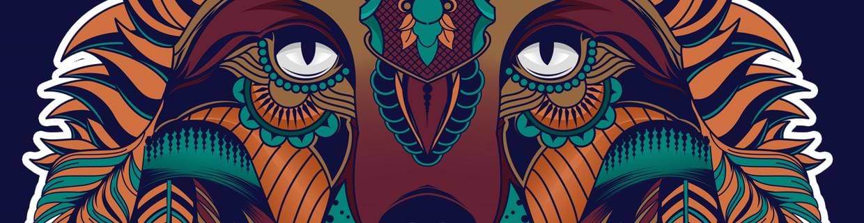 artist cover