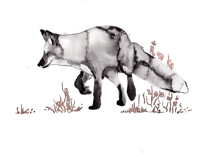 artist cover