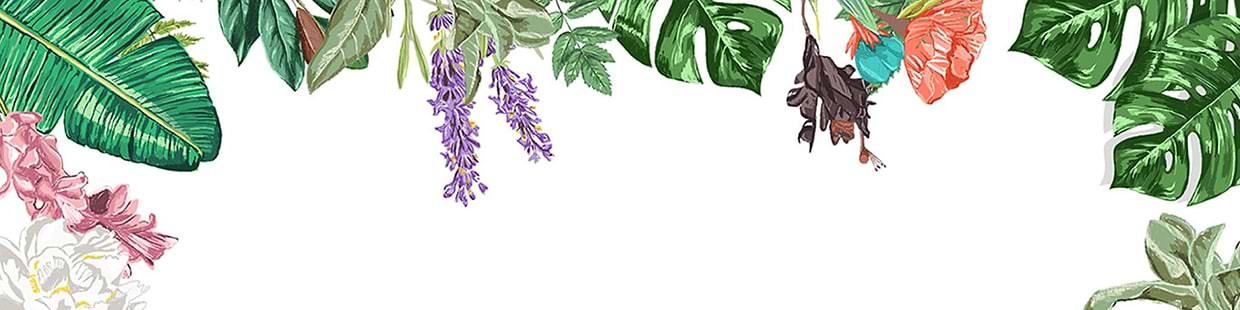 artist cover