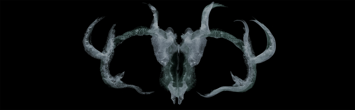 artist cover