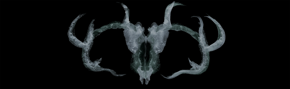 artist cover