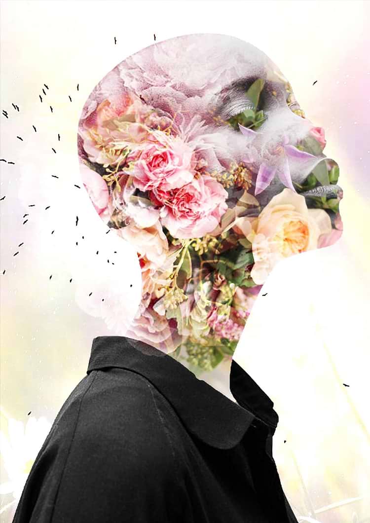 artist cover