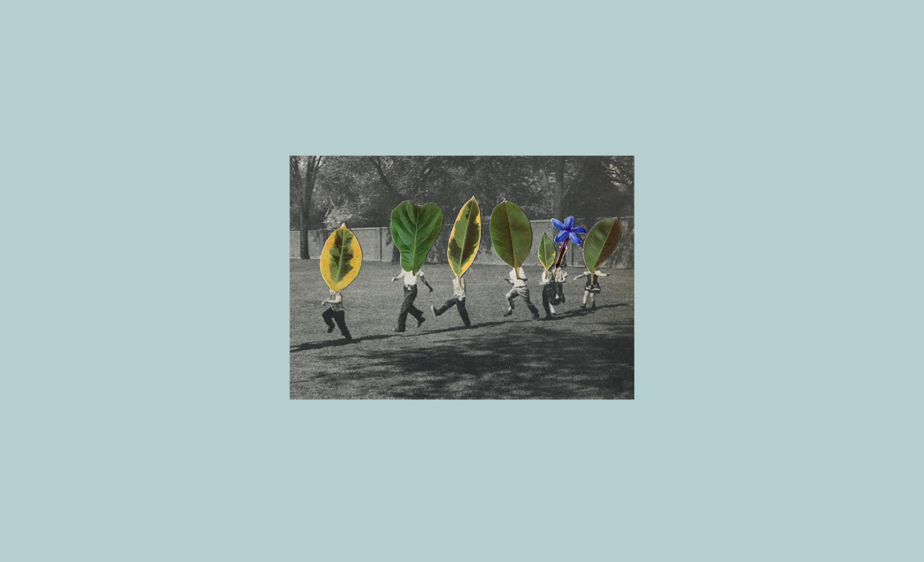 artist cover