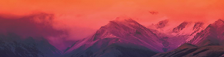 artist cover