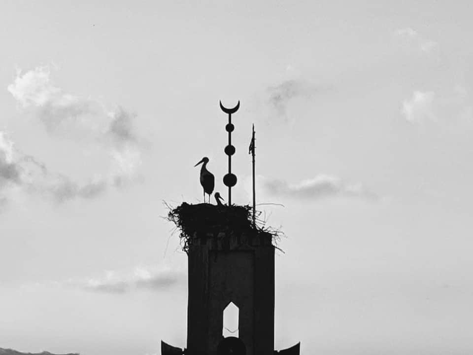 artist cover