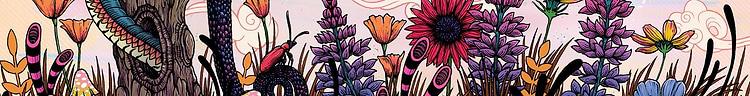 artist cover