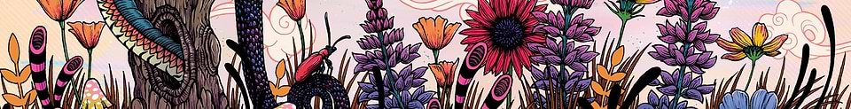 artist cover