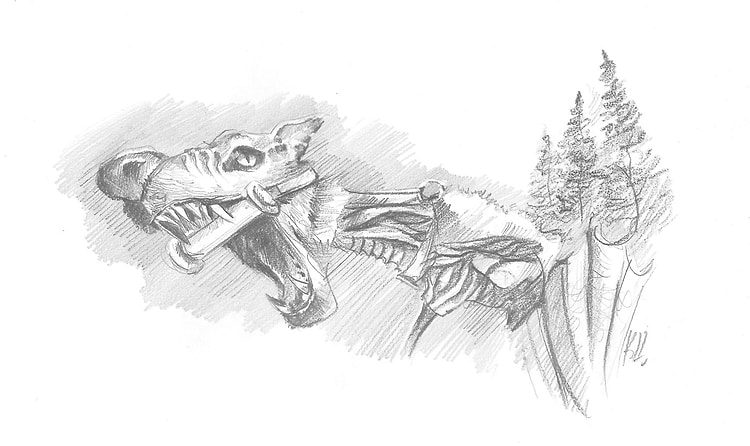 artist cover
