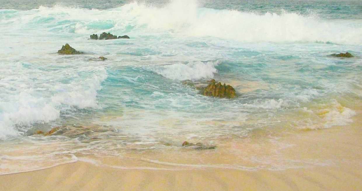 artist cover