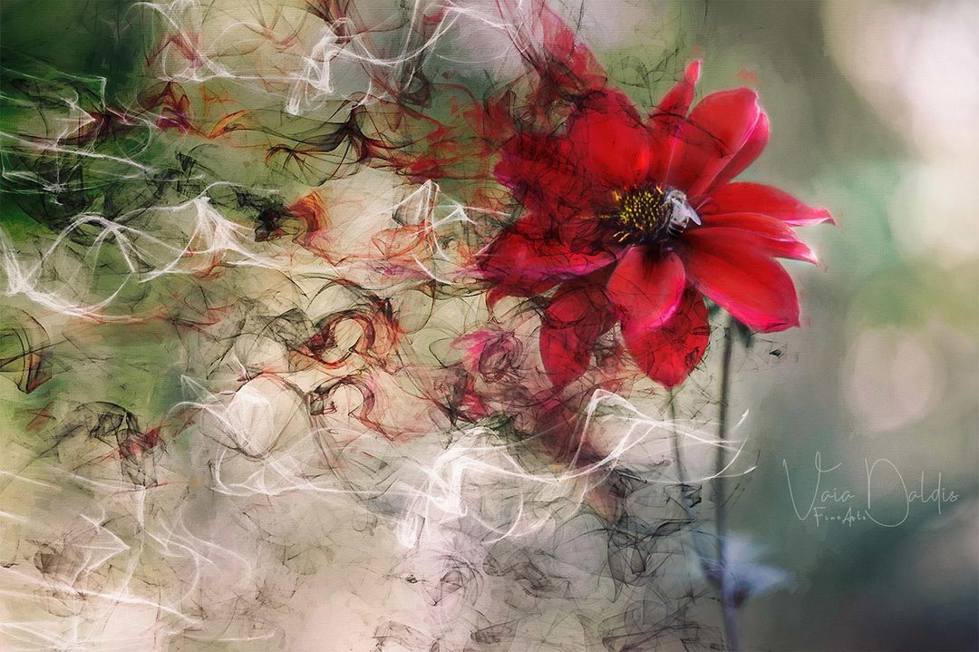 artist cover
