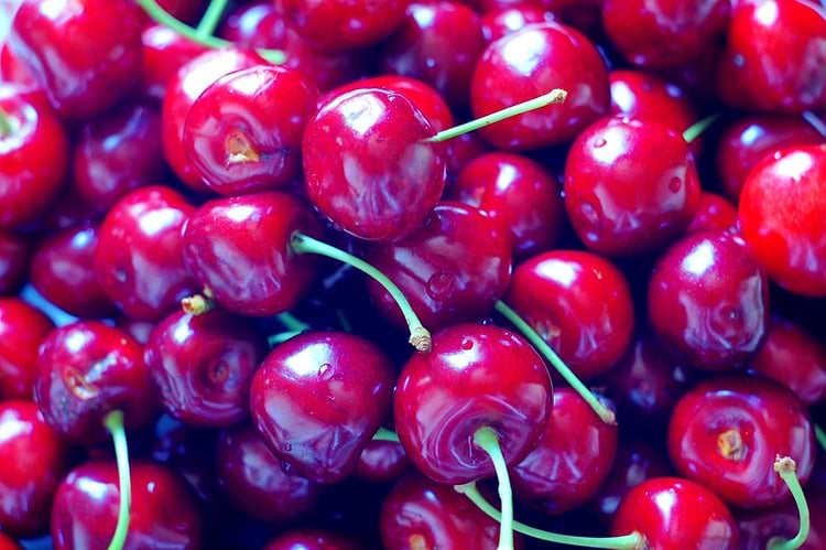 artist cover