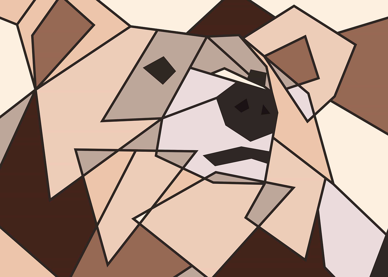 artist cover
