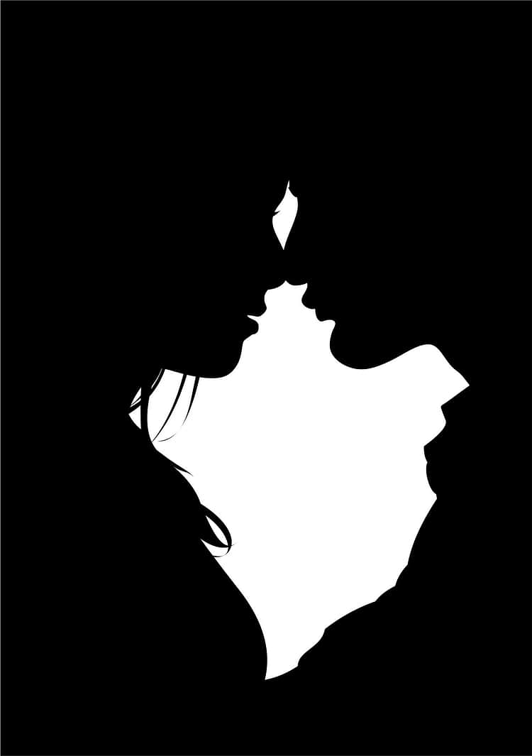 artist cover